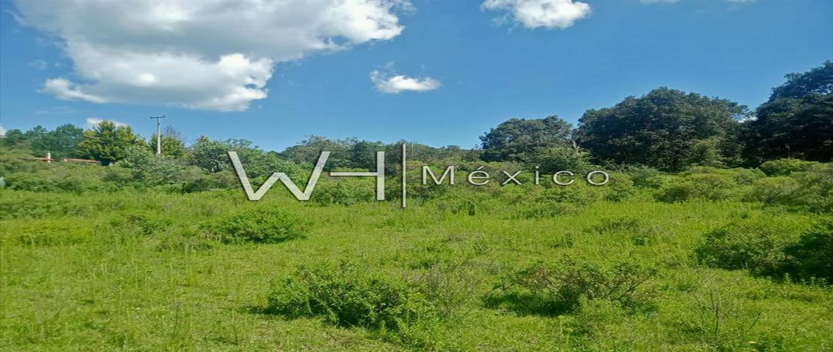 Foto de terreno habitacional en venta en  , jilotepec, jilotepec, veracruz de ignacio de la llave, 0 No. 03