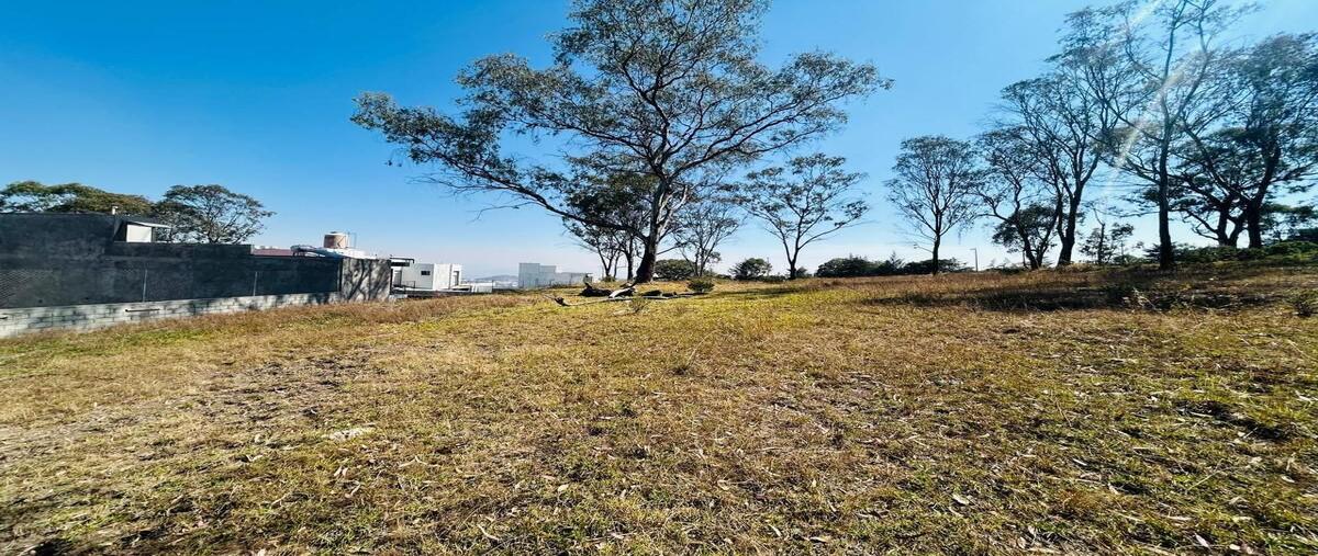 Foto de terreno habitacional en venta en jilotzingo , santa ana jilotzingo, jilotzingo, méxico, 29804113 No. 03