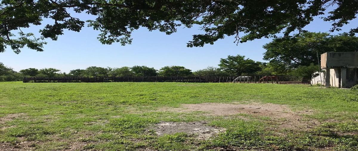 Foto de rancho en venta en jiménez , santander, jiménez, tamaulipas, 0 No. 03