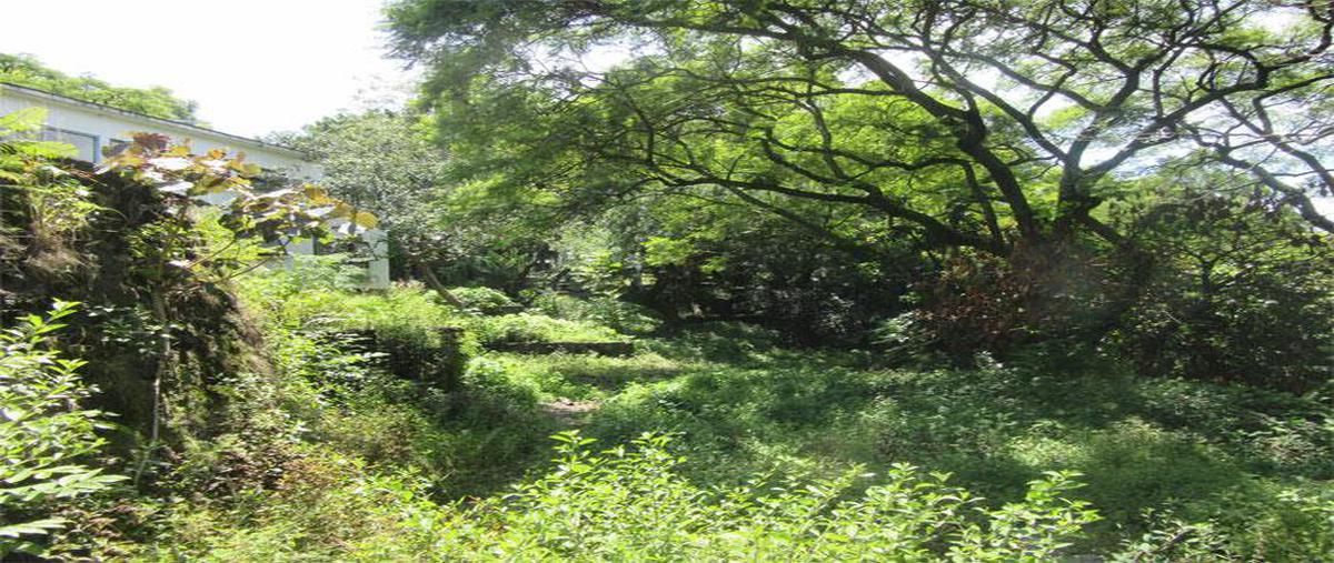 Foto de terreno habitacional en venta en  , jiquilpan, cuernavaca, morelos, 0 No. 03