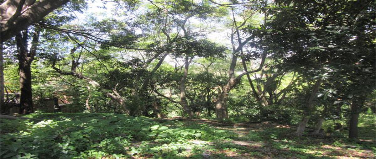 Foto de terreno habitacional en venta en  , jiquilpan, cuernavaca, morelos, 0 No. 05