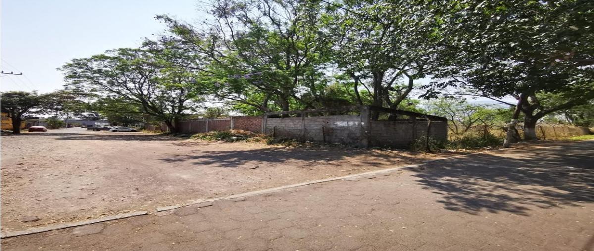 Foto de terreno habitacional en venta en  , jiquilpan de juárez centro, jiquilpan, michoacán de ocampo, 24839577 No. 04