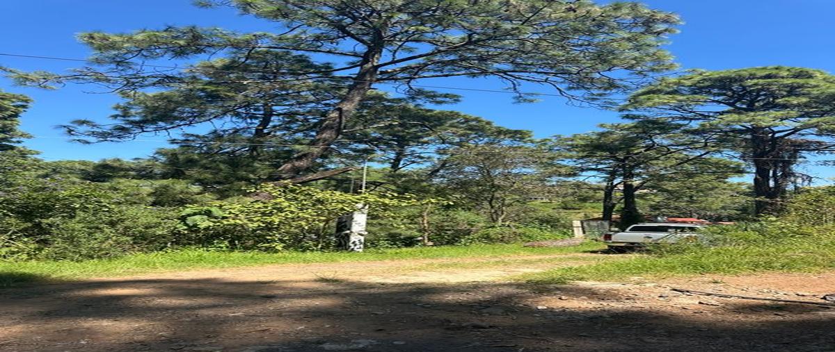 Foto de terreno habitacional en venta en jiquilpan-colima , la cofradia, mazamitla, jalisco, 0 No. 03