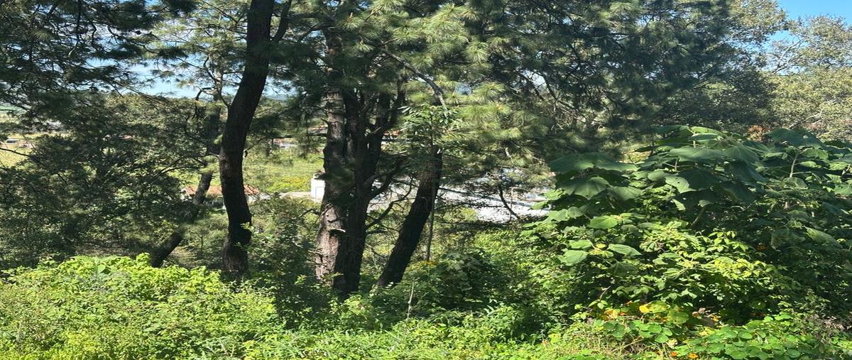 Foto de terreno habitacional en venta en jiquilpan-colima , la cofradia, mazamitla, jalisco, 0 No. 05