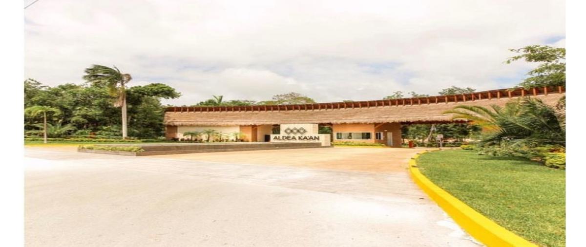 Foto de terreno habitacional en venta en  , joaquín zetina gasca, puerto morelos, quintana roo, 0 No. 05