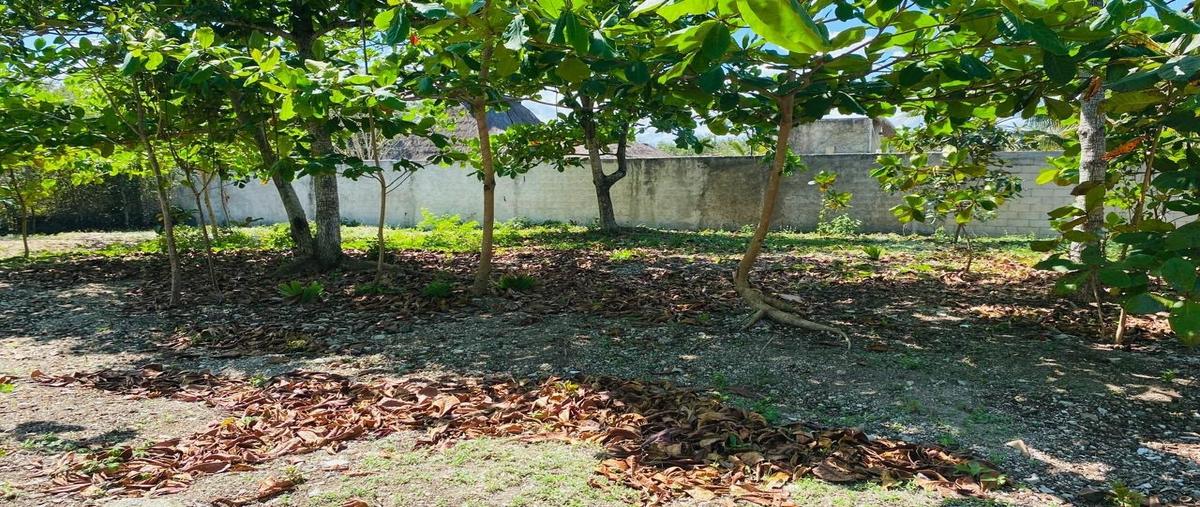 Foto de terreno habitacional en venta en  , joaquín zetina gasca, puerto morelos, quintana roo, 0 No. 03