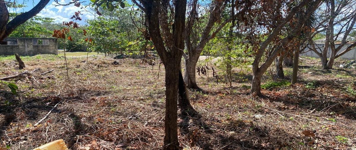 Foto de terreno habitacional en venta en  , joaquín zetina gasca, puerto morelos, quintana roo, 0 No. 04