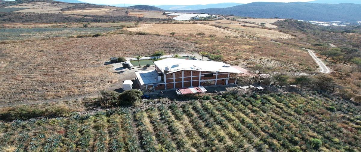Foto de rancho en venta en  , jocotepec centro, jocotepec, jalisco, 0 No. 04