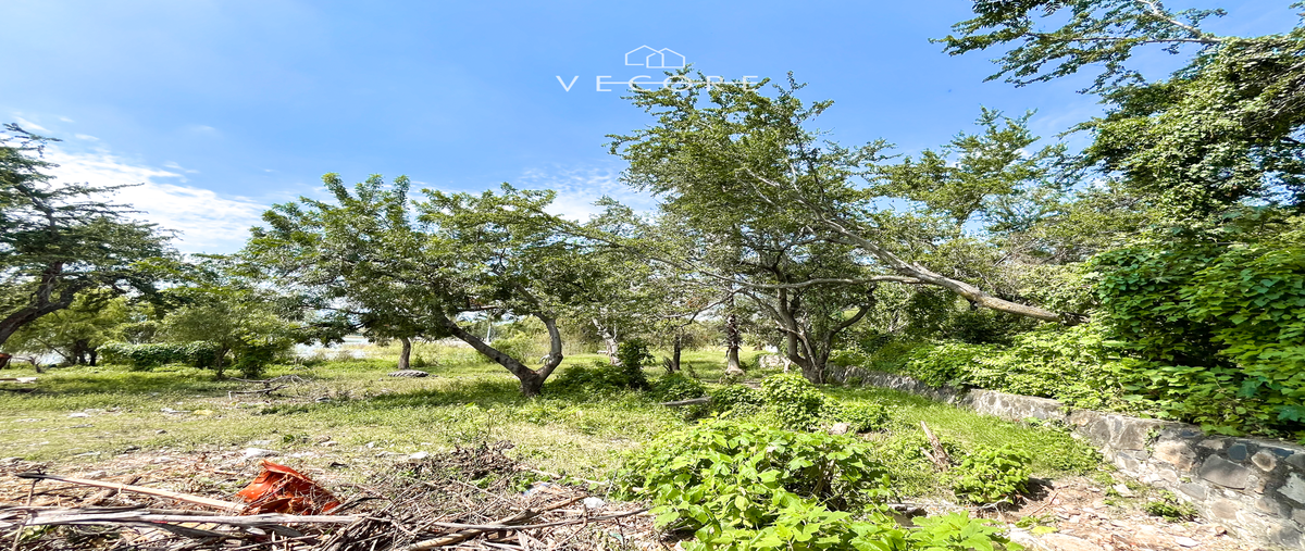 Foto de terreno habitacional en venta en jocotepec , chapala centro, chapala, jalisco, 29006442 No. 03