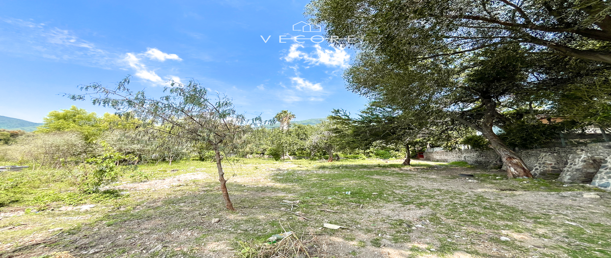 Foto de terreno habitacional en venta en jocotepec , chapala centro, chapala, jalisco, 29006442 No. 05