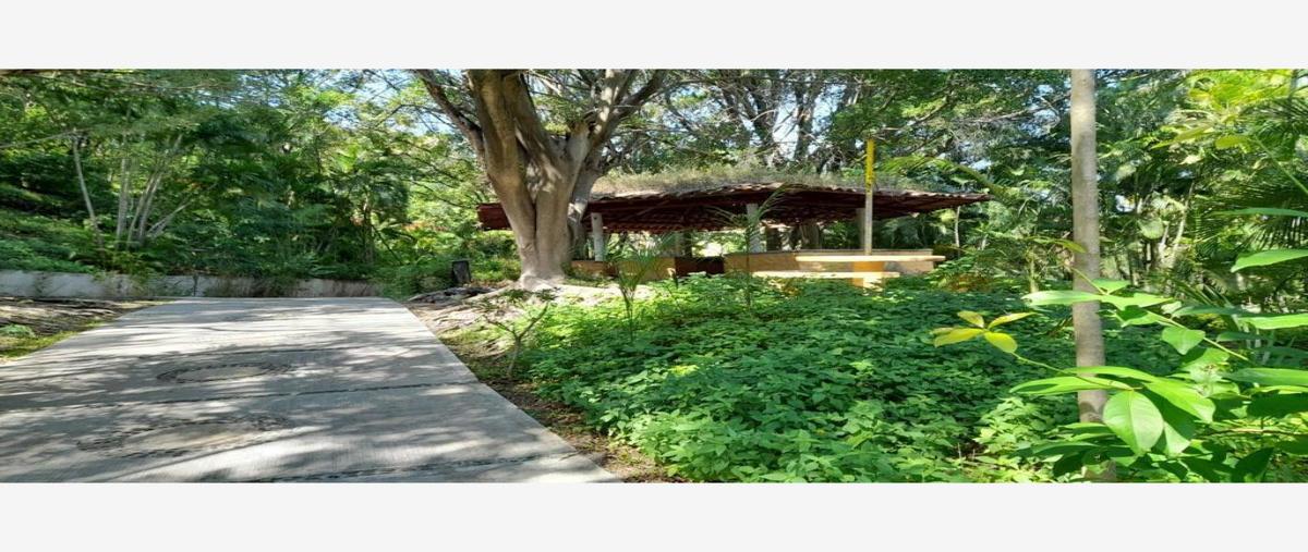 Foto de terreno comercial en venta en  , jojutla centro, jojutla, morelos, 27224078 No. 03