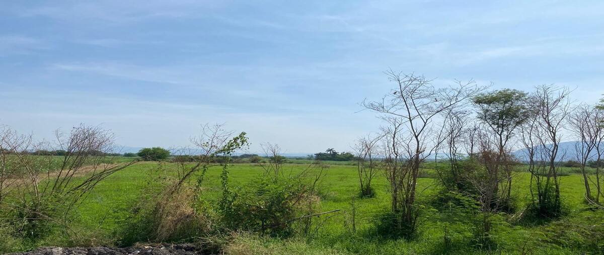 Foto de terreno habitacional en venta en jojutla de juárez centro , jojutla de juárez centro, jojutla, morelos, 28490065 No. 01