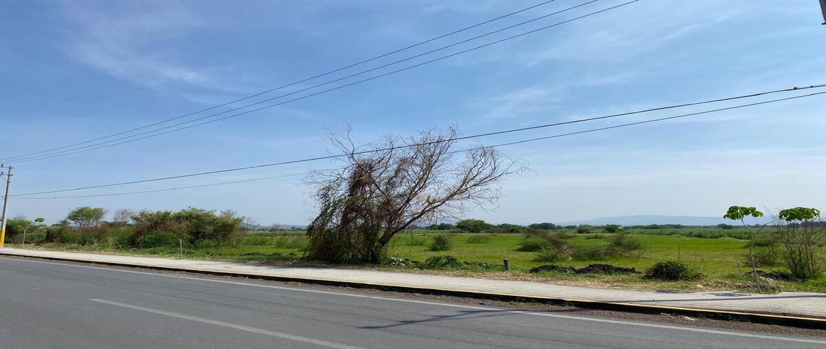 Foto de terreno habitacional en venta en jojutla de juárez centro , jojutla de juárez centro, jojutla, morelos, 28490065 No. 02