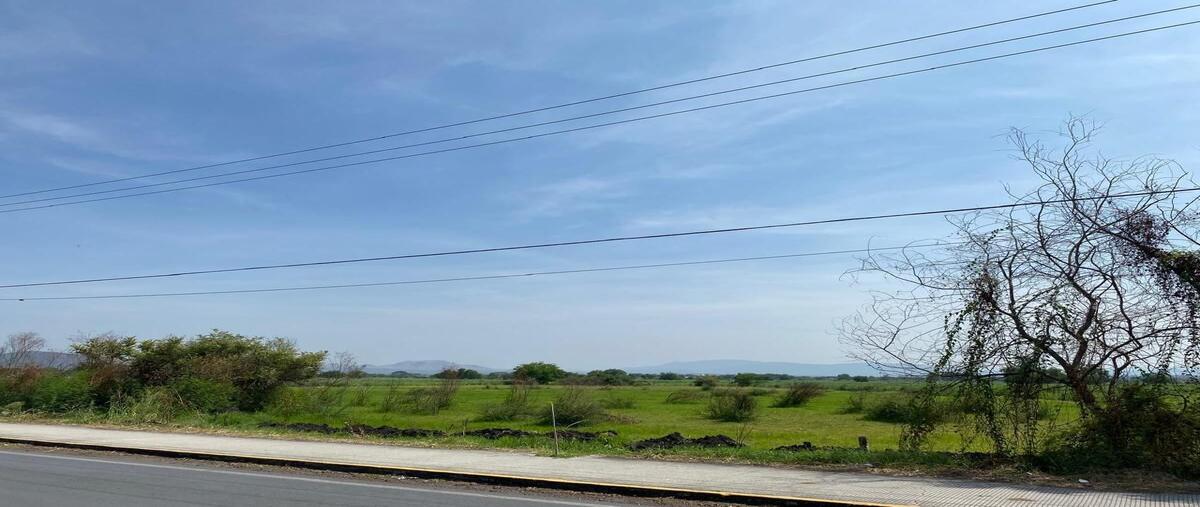 Foto de terreno habitacional en venta en jojutla de juárez centro , jojutla de juárez centro, jojutla, morelos, 28490065 No. 03