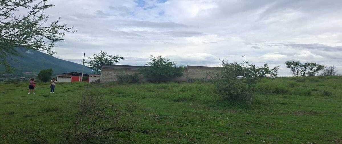 Foto de terreno habitacional en venta en jojutla , tlatenchi, jojutla, morelos, 0 No. 03
