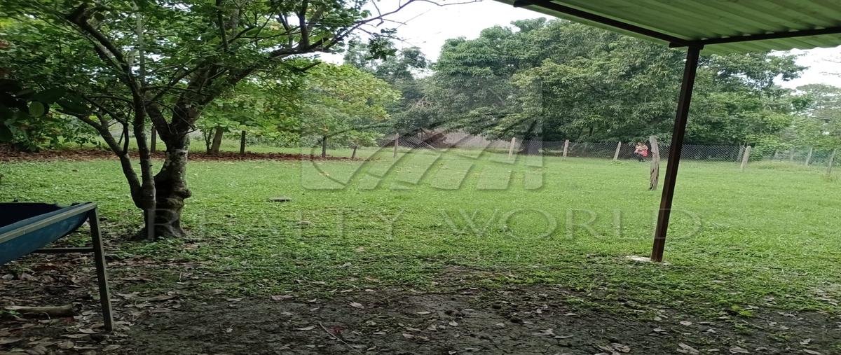 Foto de terreno habitacional en venta en  , jolochero 2da. sección, centro, tabasco, 29870456 No. 03