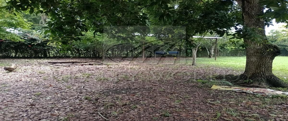 Foto de terreno habitacional en venta en  , jolochero 2da. sección, centro, tabasco, 29870456 No. 04