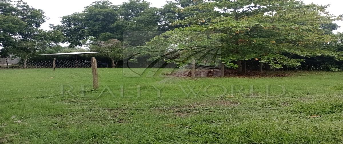 Foto de terreno habitacional en venta en  , jolochero 2da. sección, centro, tabasco, 0 No. 05