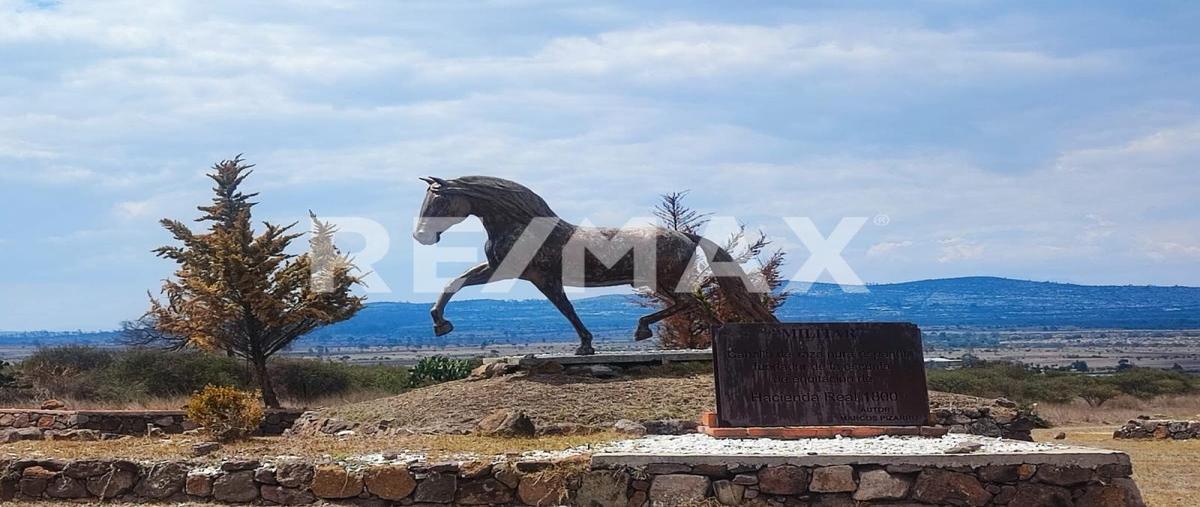 Foto de terreno habitacional en venta en  , jonacapa, huichapan, hidalgo, 0 No. 03