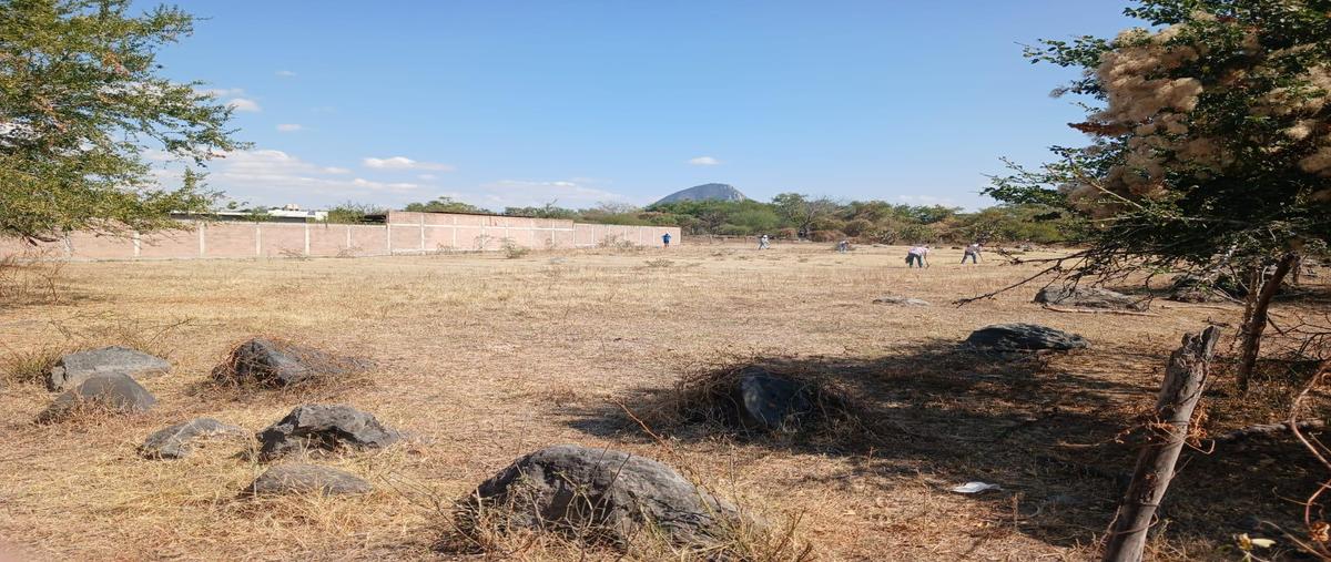Foto de terreno habitacional en , jonacatepec, jonacatepec de leandro valle, morelos, 31586965 foto 01 Foto de terreno habitacional en venta en , jonacatepec, jonacatepec de leandro valle, morelos, 31586965 No. 01