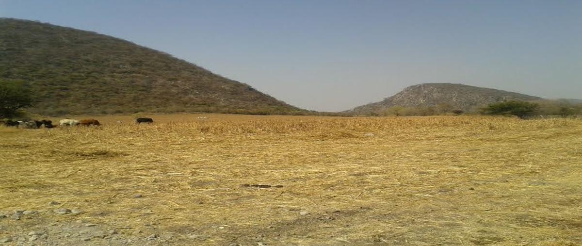 Foto de terreno habitacional en jonacatepec , jonacatepec, jonacatepec de leandro valle, morelos, 26555847 foto 02 Foto de terreno habitacional en venta en jonacatepec , jonacatepec, jonacatepec de leandro valle, morelos, 26555847 No. 02