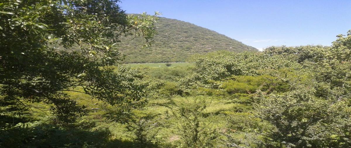 Foto de terreno habitacional en jonacatepec , jonacatepec, jonacatepec de leandro valle, morelos, 26555847 foto 03 Foto de terreno habitacional en venta en jonacatepec , jonacatepec, jonacatepec de leandro valle, morelos, 26555847 No. 03