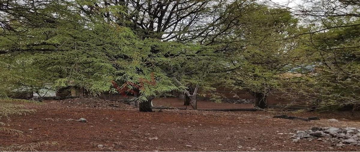 Foto de terreno habitacional en venta en josé a. jiménez , lomas del real, yautepec, morelos, 0 No. 03