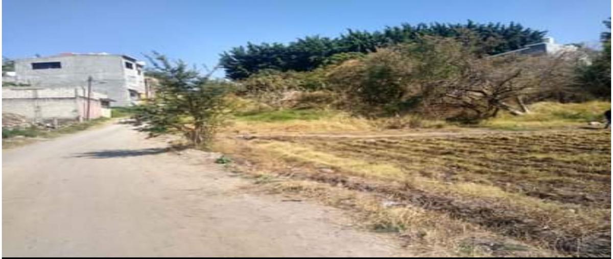 Foto de terreno habitacional en venta en  , josé g parres, jiutepec, morelos, 0 No. 04