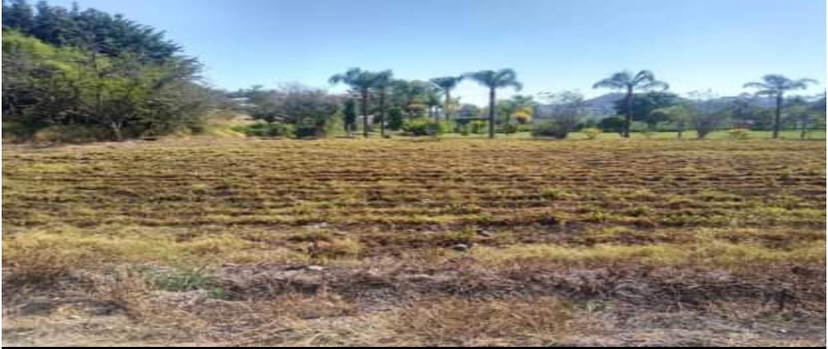 Foto de terreno habitacional en venta en  , josé g parres, jiutepec, morelos, 0 No. 05