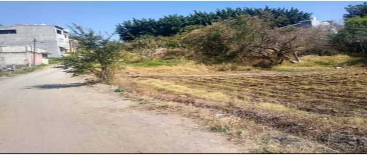 Foto de terreno habitacional en venta en  , josé g parres, jiutepec, morelos, 0 No. 03