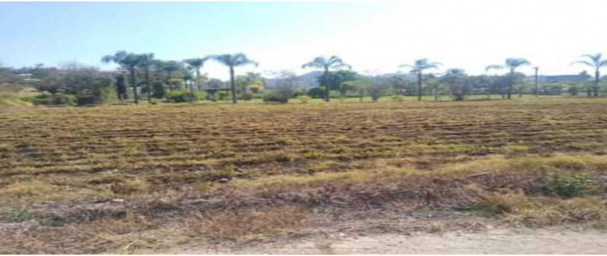 Foto de terreno habitacional en venta en  , josé g parres, jiutepec, morelos, 0 No. 04