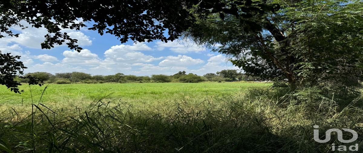 Foto de terreno comercial en renta en jose garcía treviño 190, agua fría, apodaca, nuevo león, 28720275 No. 03