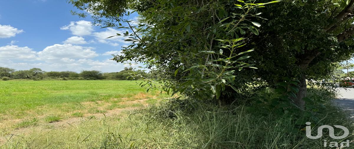 Foto de terreno comercial en renta en jose garcía treviño 190, agua fría, apodaca, nuevo león, 28720275 No. 05