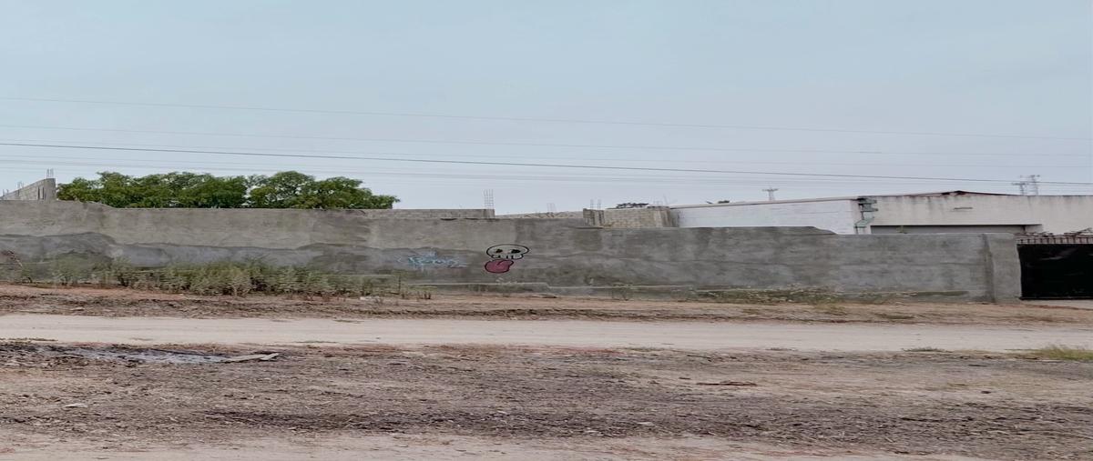 Foto de terreno comercial en venta en josé lópez portillo , ejido lázaro cárdenas, tijuana, baja california, 28845590 No. 05