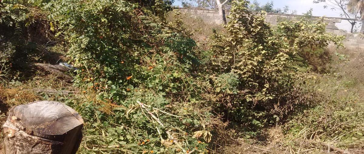 Foto de terreno habitacional en venta en  , josé lópez portillo, jiutepec, morelos, 24716031 No. 03