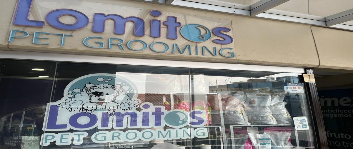 Foto de edificio en venta en josé maría gutierrez estrada , lomas verdes 6a sección, naucalpan de juárez, méxico, 26507036 No. 05