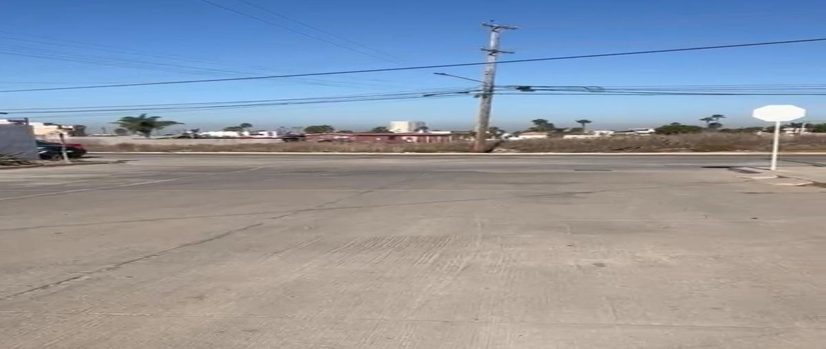 Foto de terreno habitacional en renta en jose maria iglesias , reforma, playas de rosarito, baja california, 28907046 No. 05