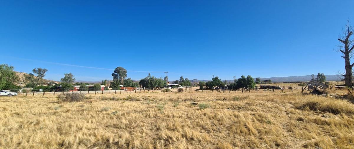 Foto de terreno habitacional en venta en jose maria larroque , ojos negros, ensenada, baja california, 27281983 No. 04