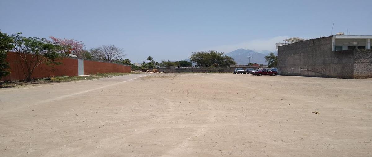Foto de terreno habitacional en venta en jose maria martinez 1, josé maría martínez (el molino), tepic, nayarit, 0 No. 01