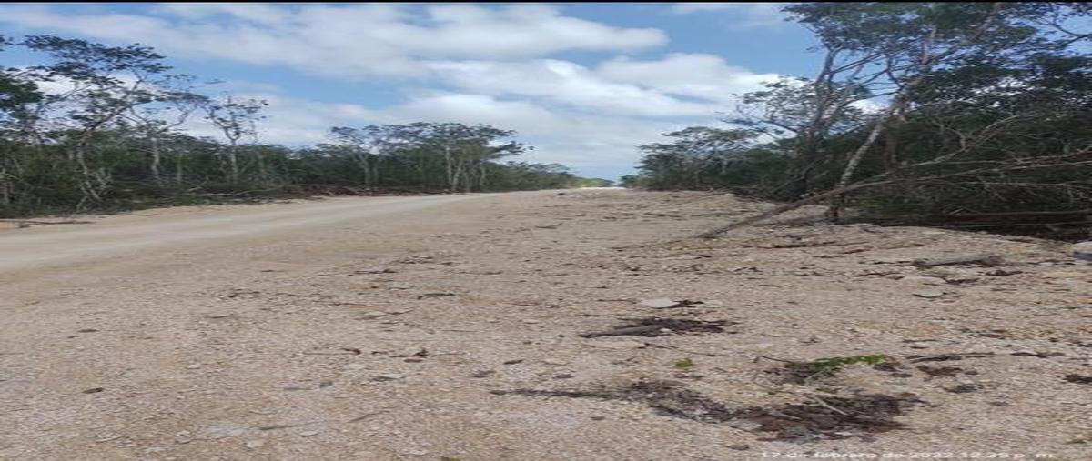 Foto de terreno habitacional en venta en  , josé maría morelos, josé maría morelos, quintana roo, 30889685 No. 03
