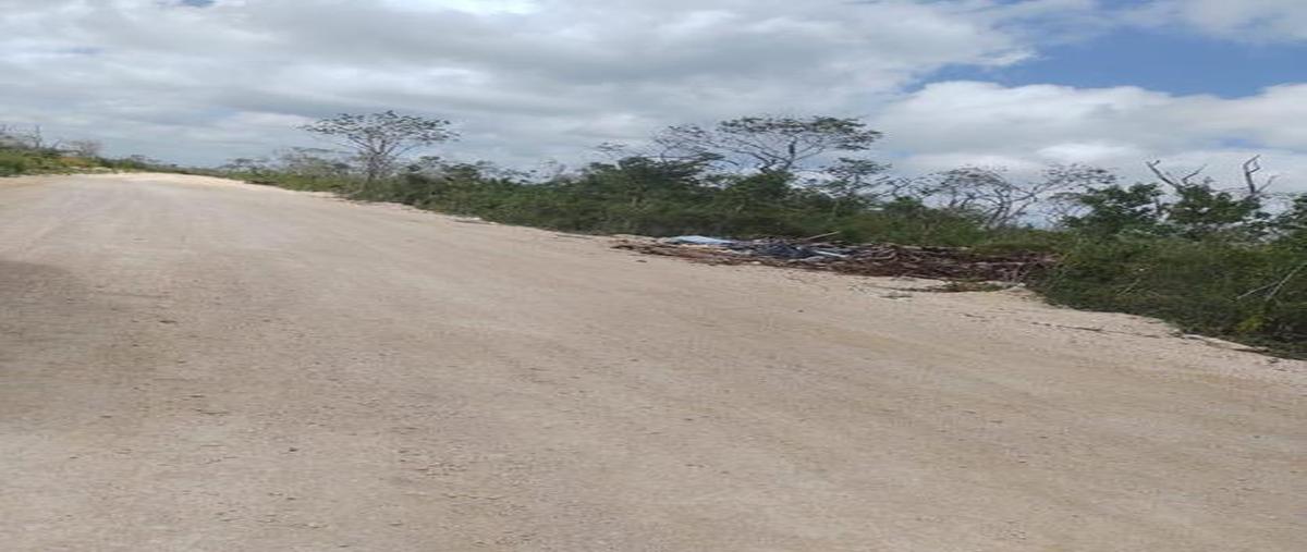 Foto de terreno habitacional en venta en  , josé maría morelos, josé maría morelos, quintana roo, 30889685 No. 04