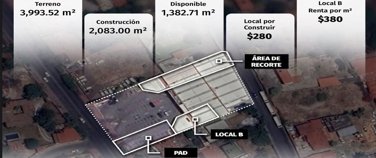 Foto de local en renta en josé maría morelos , las palmas, cuernavaca, morelos, 0 No. 05