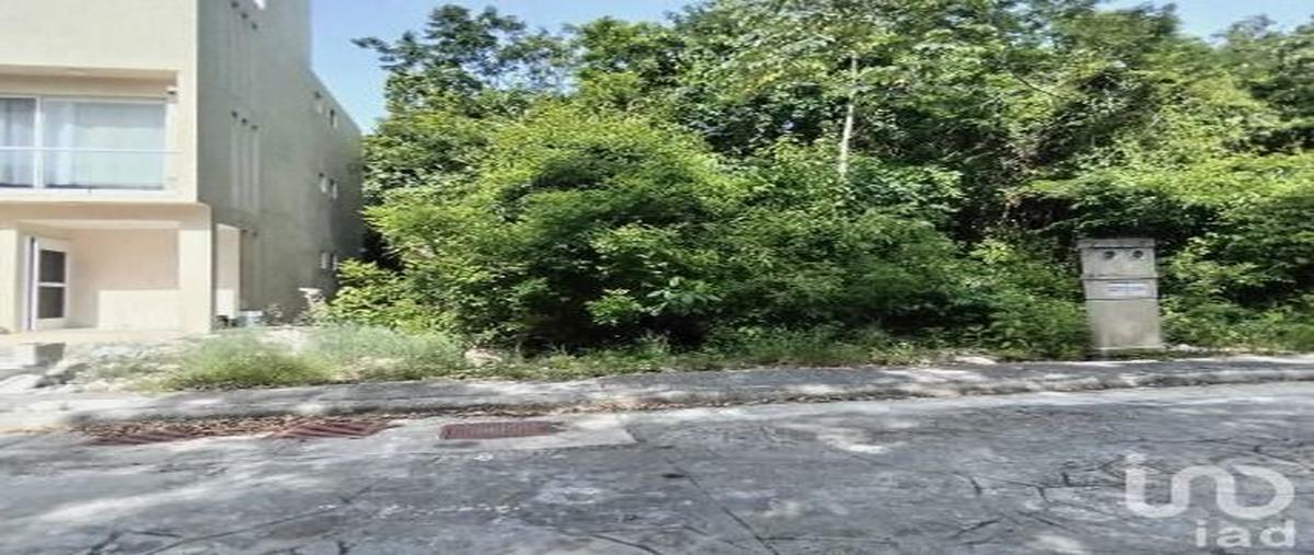 Foto de terreno habitacional en venta en jose maria morelos , puerto morelos, puerto morelos, quintana roo, 29271789 No. 04