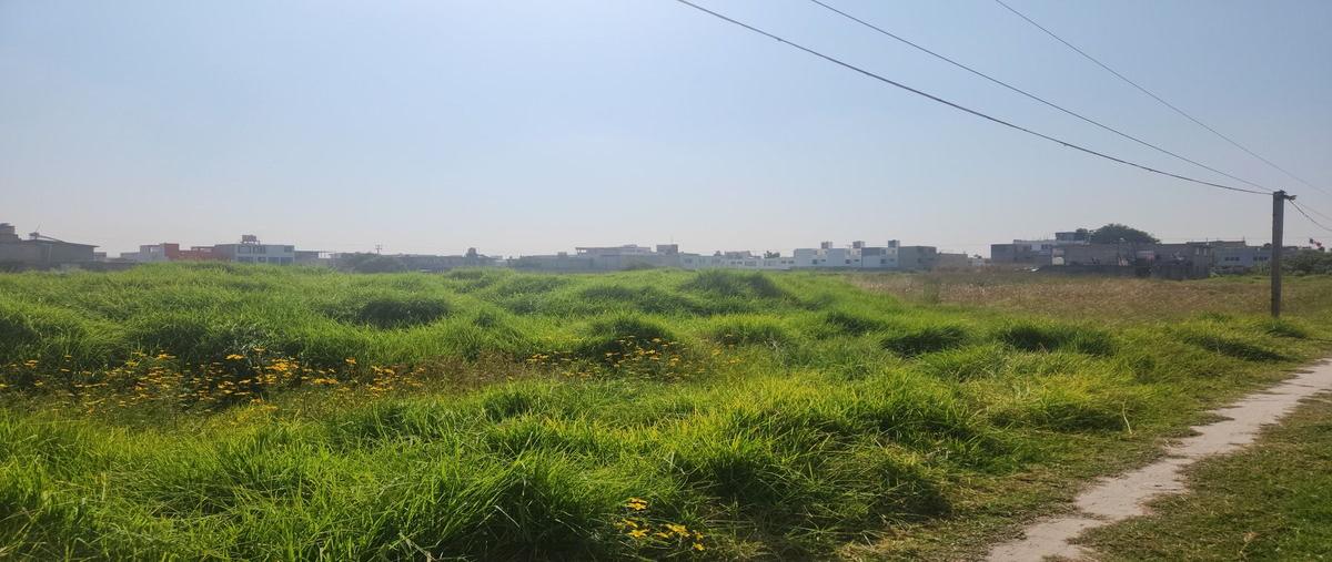 Foto de terreno habitacional en venta en josé maría morelos , san miguel, san mateo atenco, méxico, 28848252 No. 05