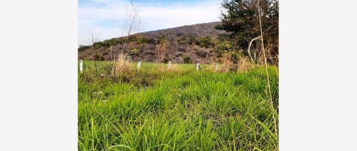 Foto de terreno comercial en venta en  , josé maría morelos y pavón, jojutla, morelos, 15692243 No. 01
