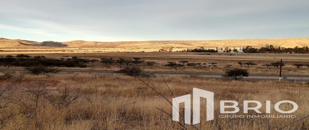 Foto de terreno habitacional en venta en  , josé maría morelos y pavón (la tinaja), durango, durango, 0 No. 03