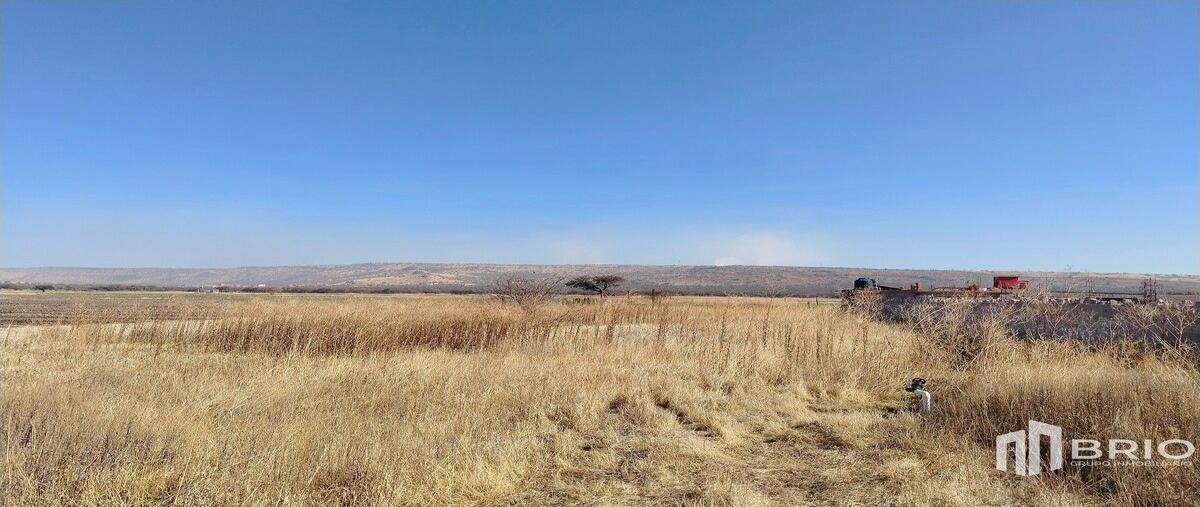 Foto de terreno habitacional en venta en  , josé maría morelos y pavón (la tinaja), durango, durango, 0 No. 04