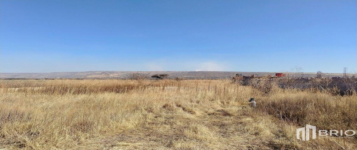 Foto de terreno habitacional en venta en  , josé maría morelos y pavón (la tinaja), durango, durango, 0 No. 05