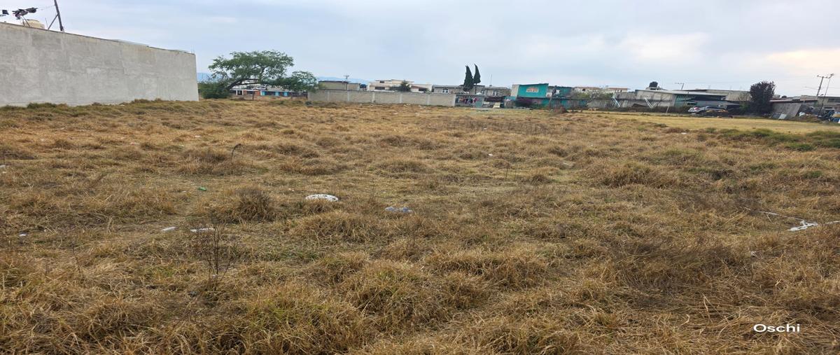 Foto de terreno comercial en jose maria morelos y pavon , san mateo otzacatipan, toluca, méxico, 30986063 foto 05 Foto de terreno comercial en renta en jose maria morelos y pavon , san mateo otzacatipan, toluca, méxico, 30986063 No. 05