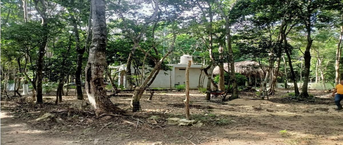 Foto de terreno habitacional en venta en  , josé maría pino suárez, felipe carrillo puerto, quintana roo, 0 No. 04